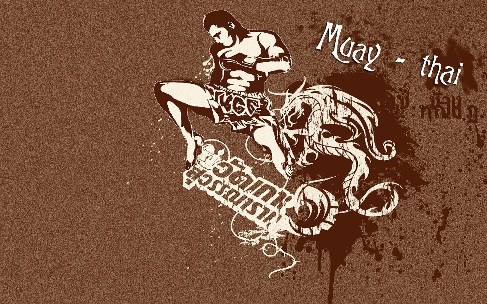 Muay Thai, Kraft, Fitness, Training, Kampf, 1680x1050 HD Desktop