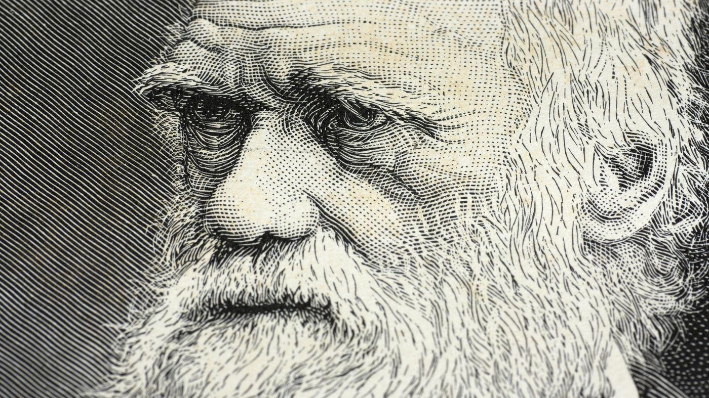 Charles Darwin, Fakten, Evolution, Wissenschaftler, Geschichte, 1400x790 HD Desktop