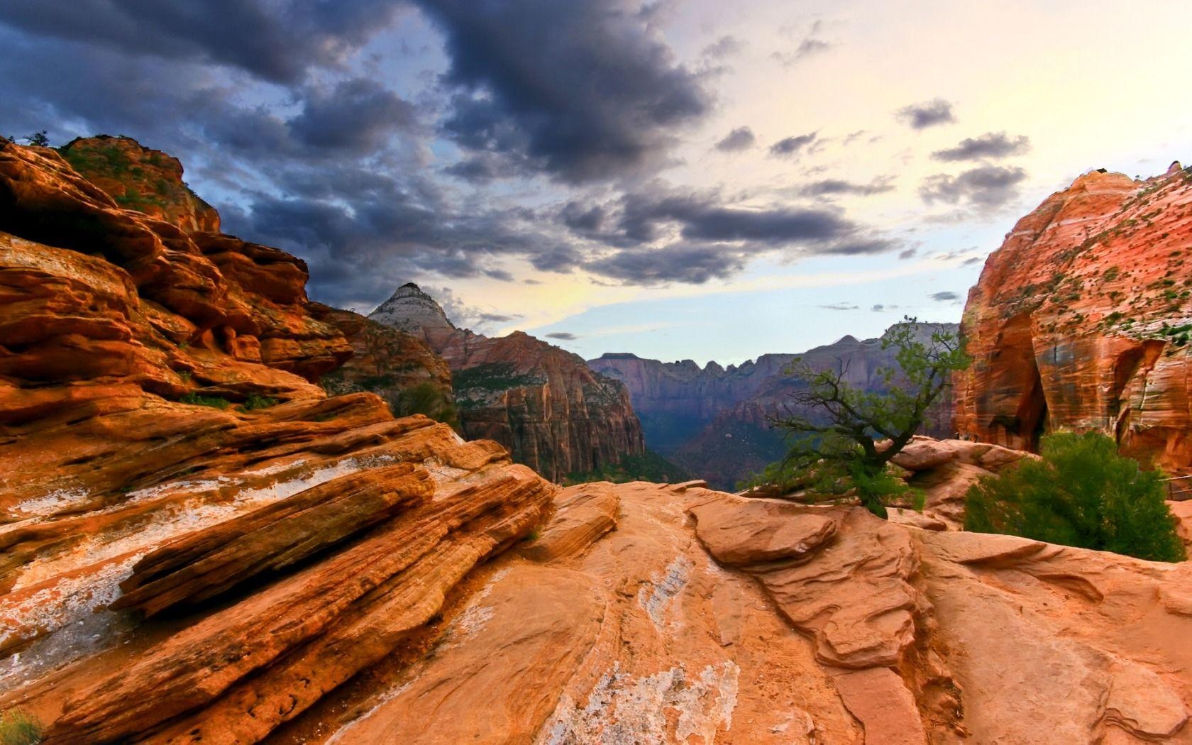 Zion Nationalpark, Kostenlos, Wallpaperx1050, Natur, USA, 1680x1050 HD Desktop