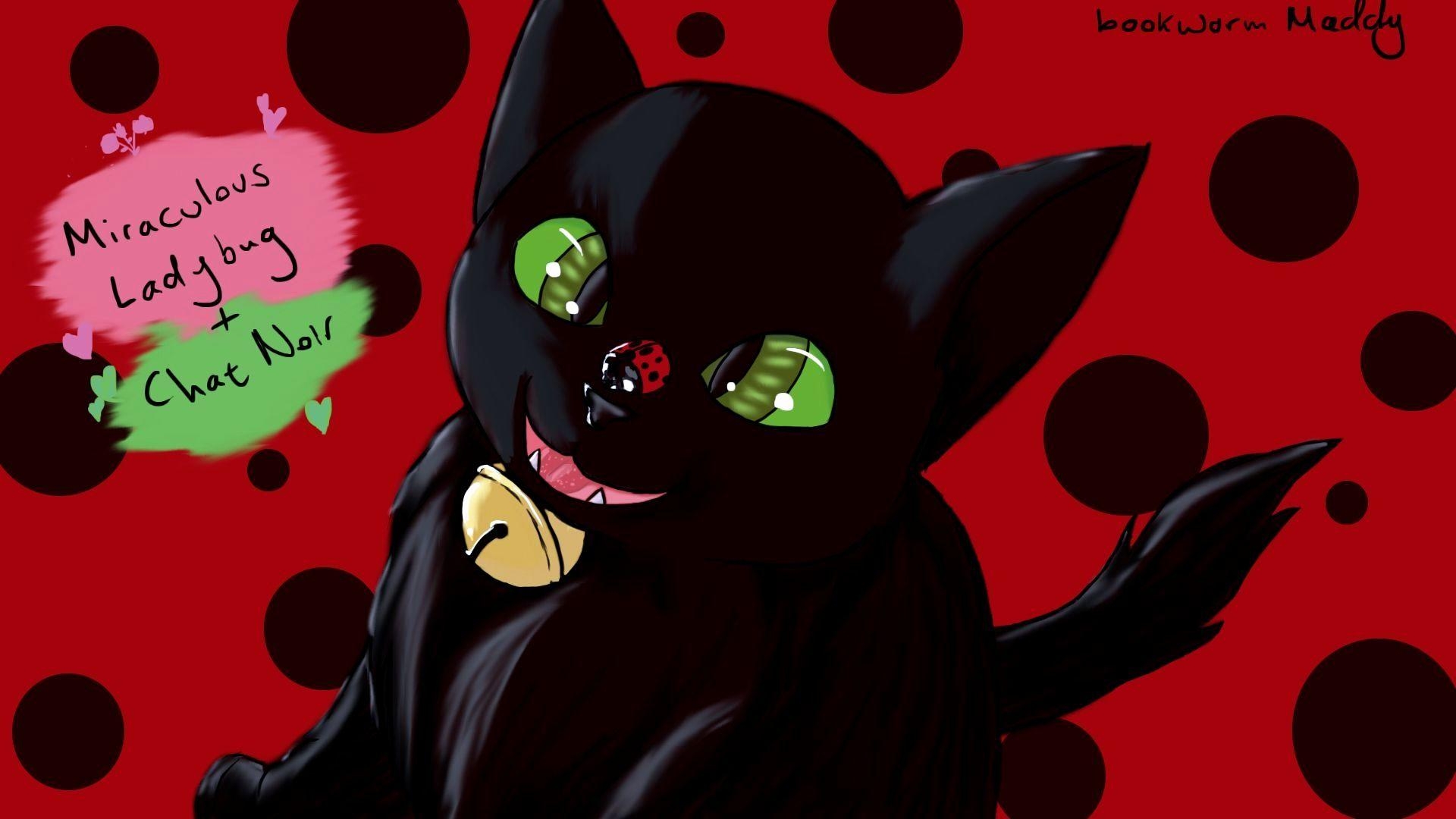 Ladybug, Cat Noir, neu, Cartoons, Jahr, 1920x1080 Full HD Desktop