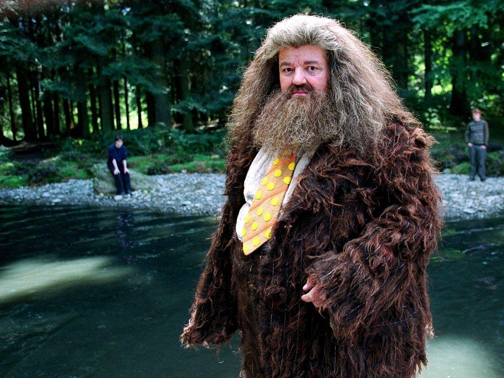 Hagrid, Harry Potter, Hogwarts, Hintergrund, Magie, 1030x770 HD Desktop