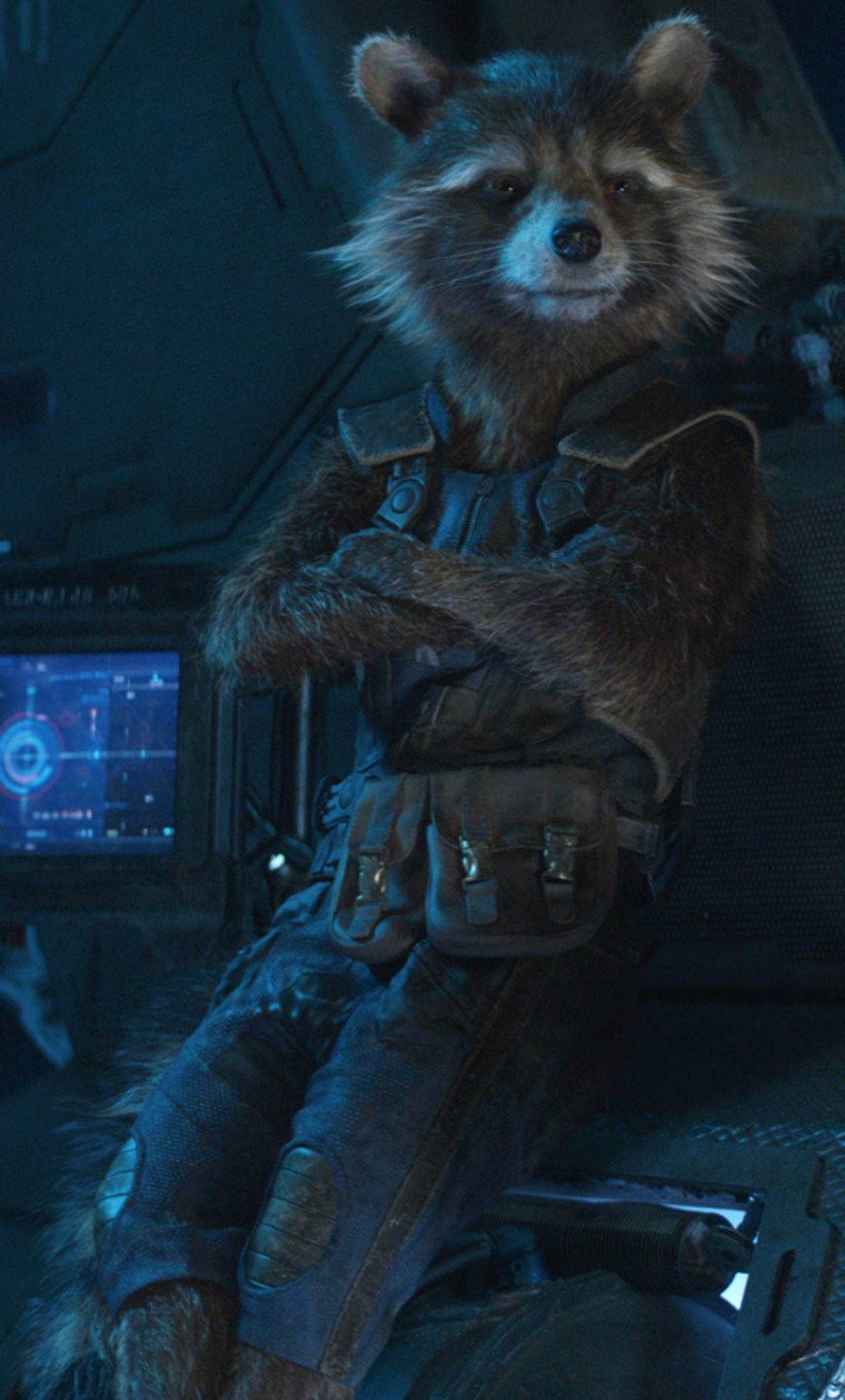 Rocket Raccoon, Avengers Infinity War, iPhone Hintergrund, Marvel, Kino, 1280x2120 HD Handy