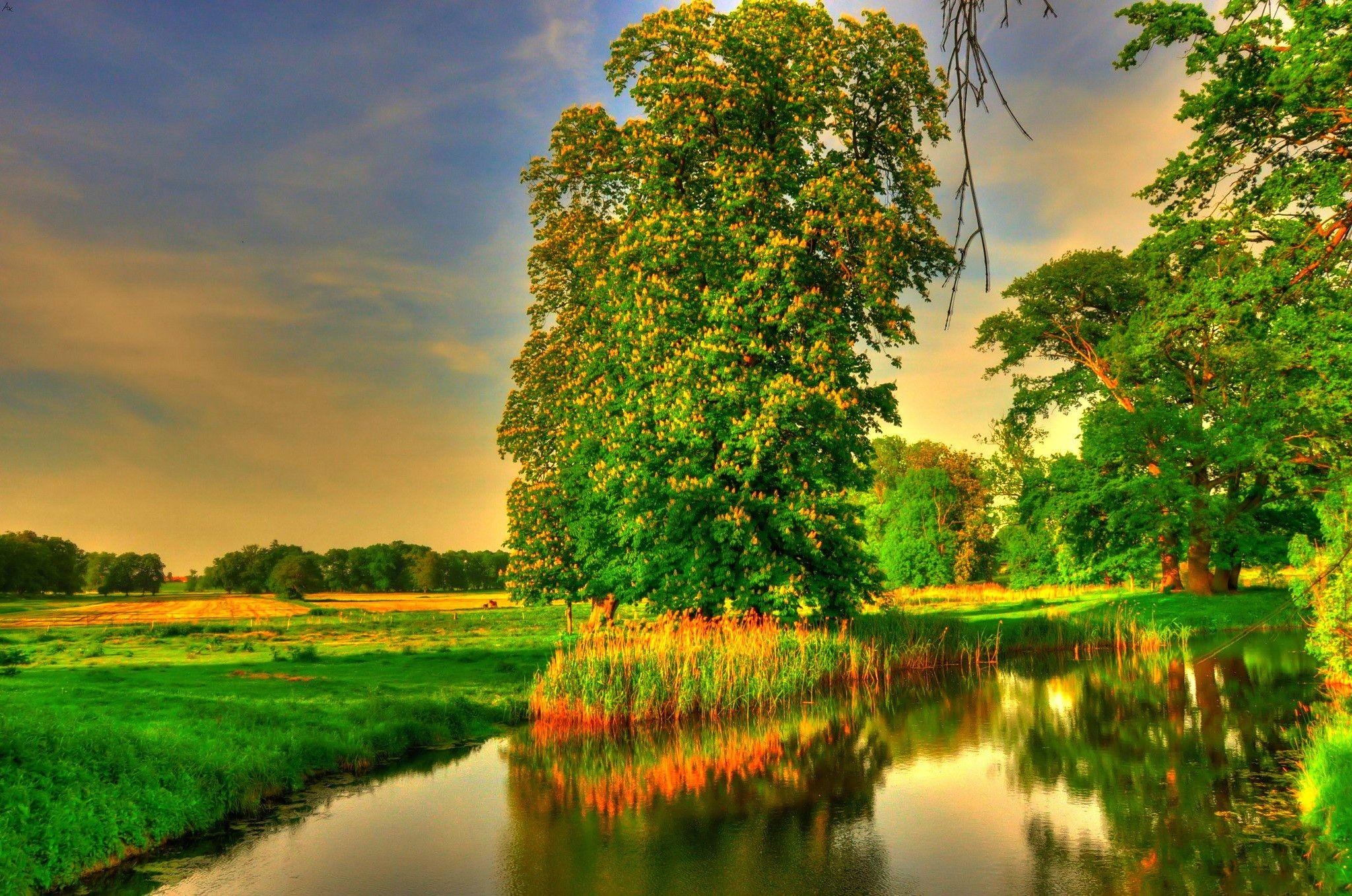 Schöner Morgen, Deutschland, PC Hintergrund, Natur, 2050x1360 HD Desktop