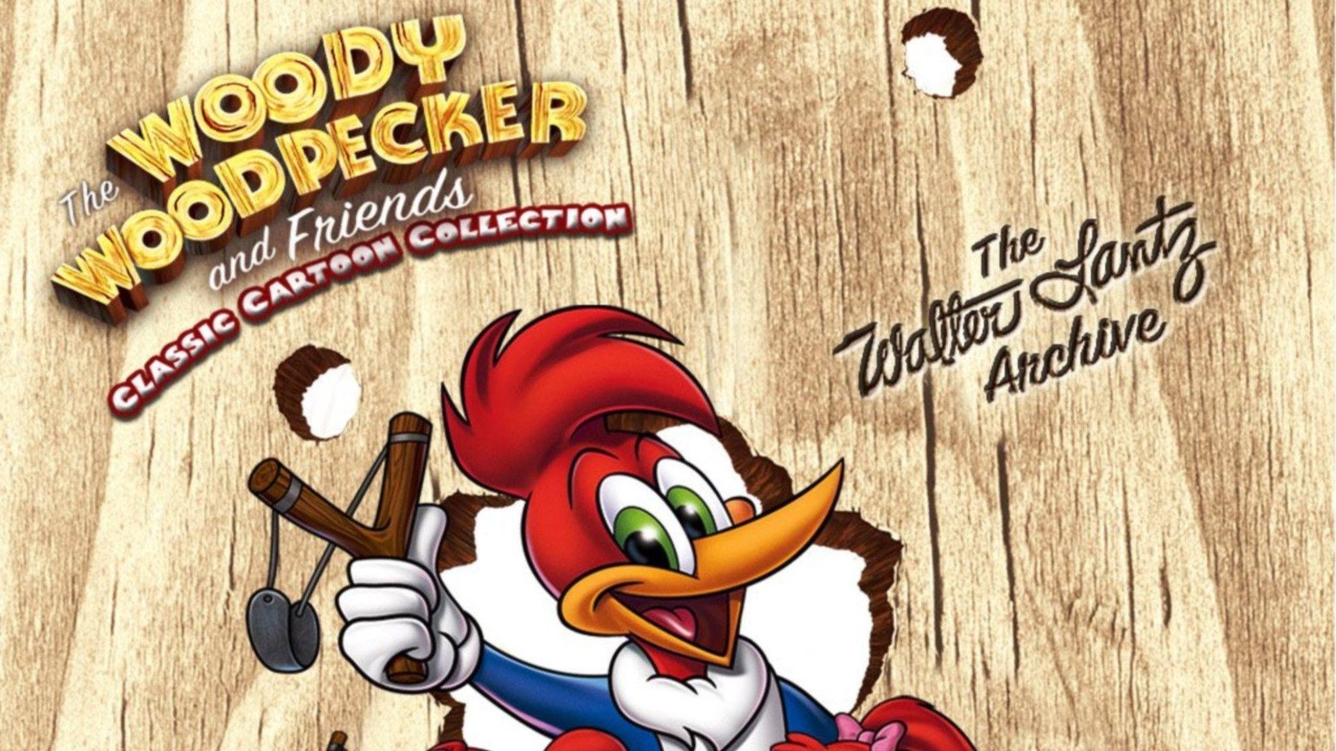 Woody Woodpecker, Hintergrund, Cartoon, Animation, Kinder, 1920x1080 Full HD Desktop