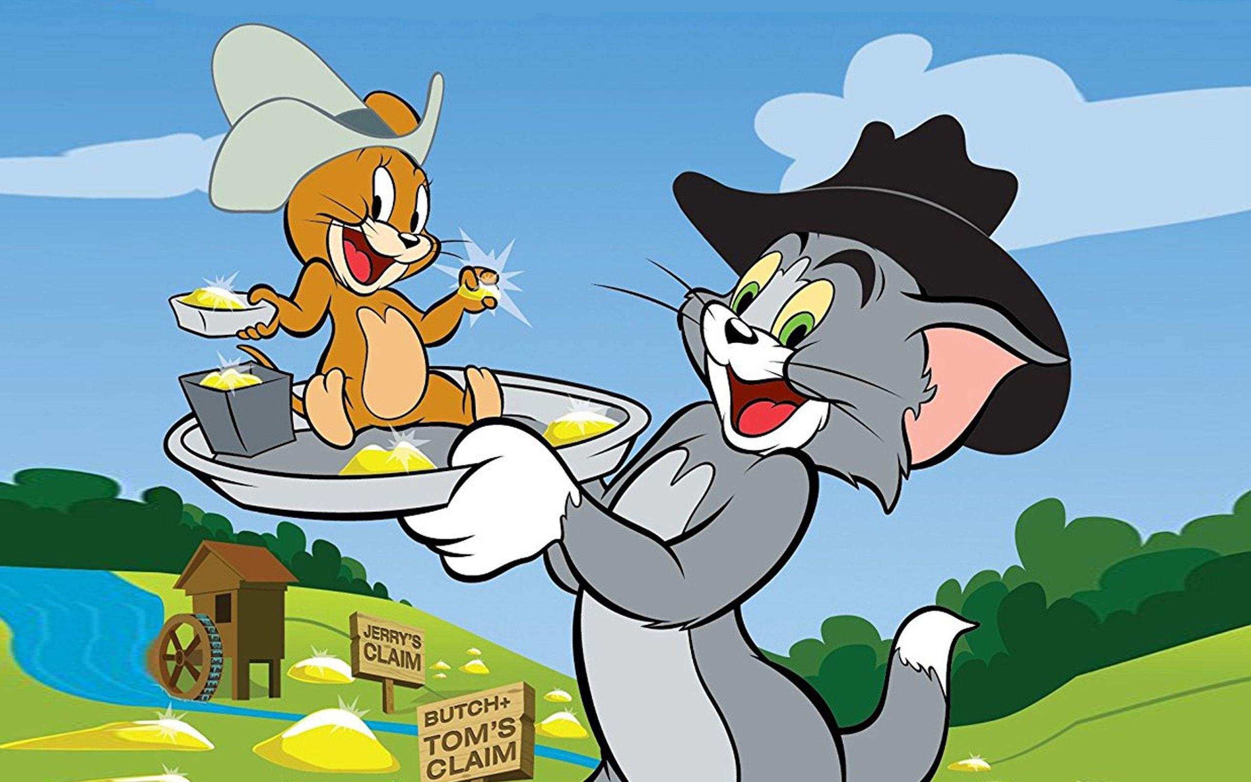 Tom, Jerry, Zeichentrick, Bild, Cartoon, 2560x1600 HD Desktop