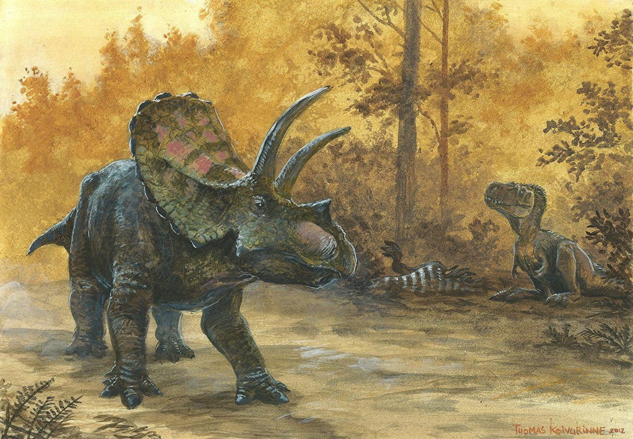 Triceratops, Desktop, Tuomas Koivurinne, Dinosaurier, Hintergrund, 1280x890 HD Desktop