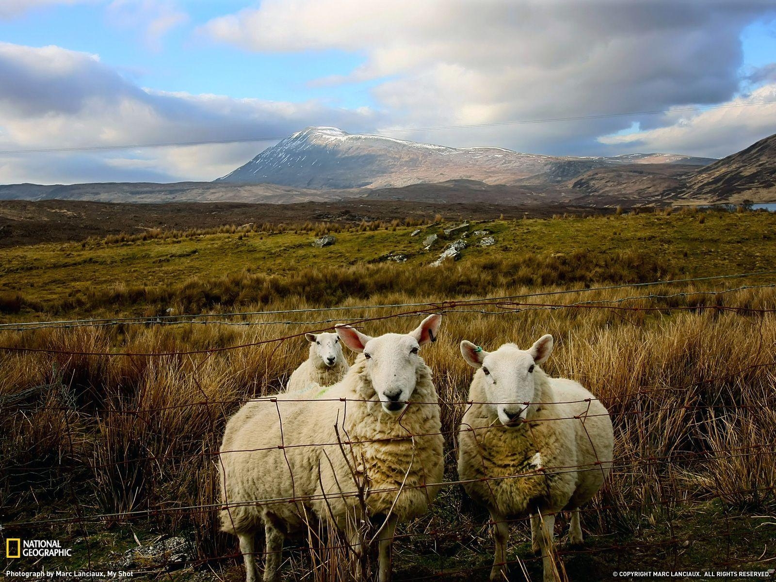 Schottland Landschaften, Reisen, Natur, National Geographic, 1600x1200 HD Desktop