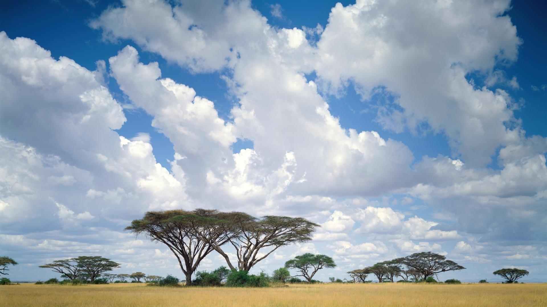 Kenia, 1920x1200, Hintergrund, Natur, Reise, 1920x1080 Full HD Desktop