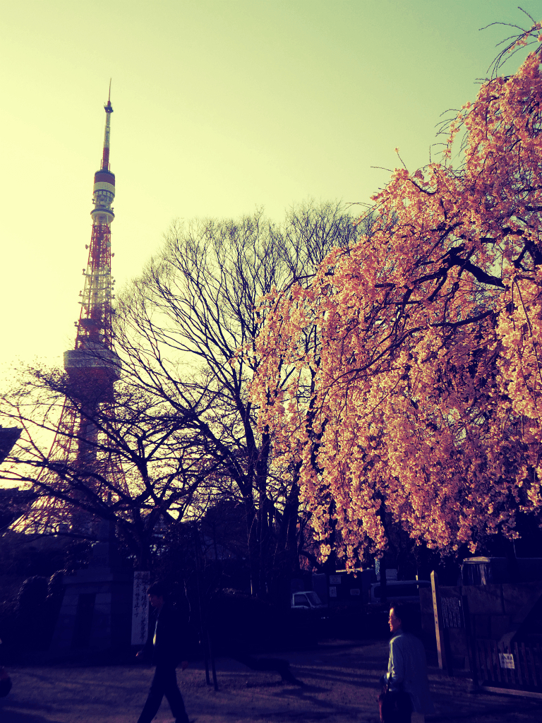 Tokyo Tower, Keira N, Fotografie, Japan, Architektur, 770x1030 HD Handy