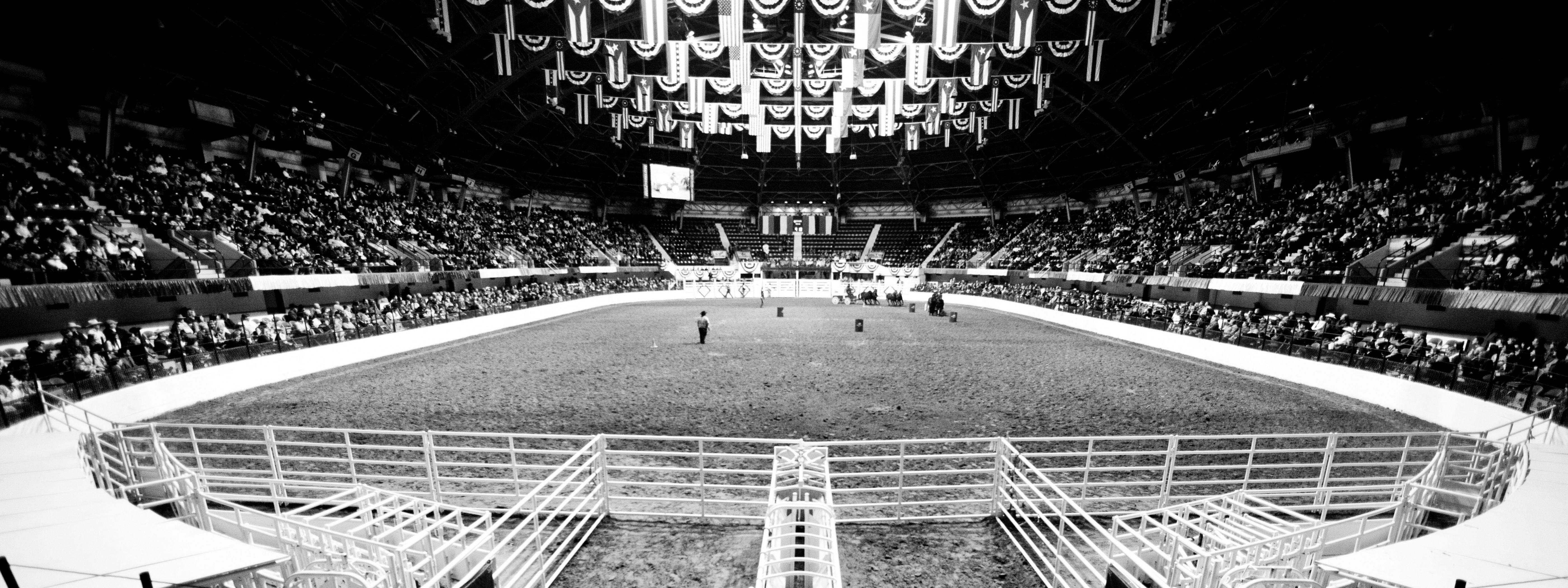 Fort Worth, Rodeo, Show, Cowboy, Download, 5600x2100 4K Desktop