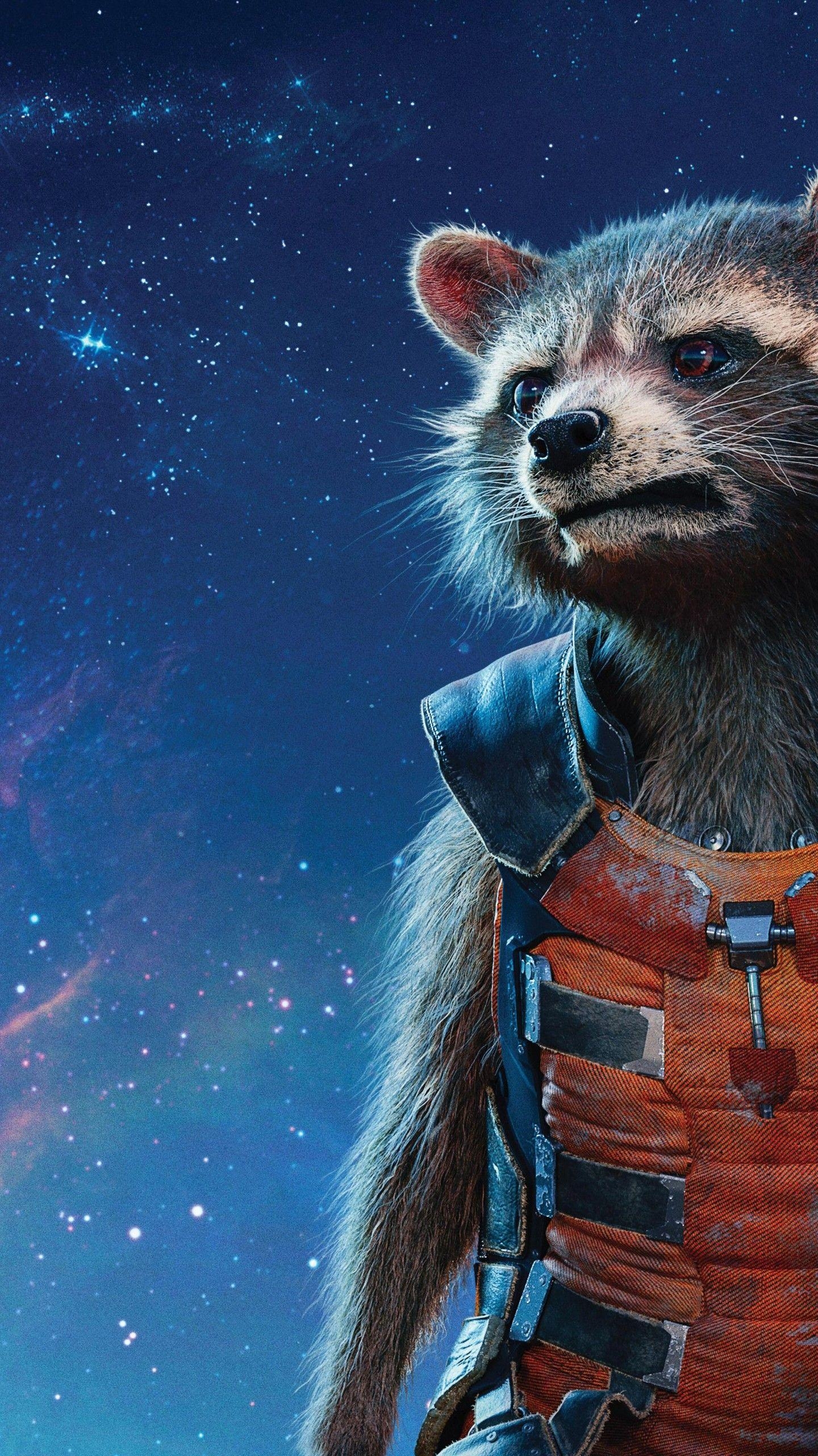 Rocket Raccoon, Guardians Galaxy, Vol 5K, Hintergrund, 1440x2560 HD Handy