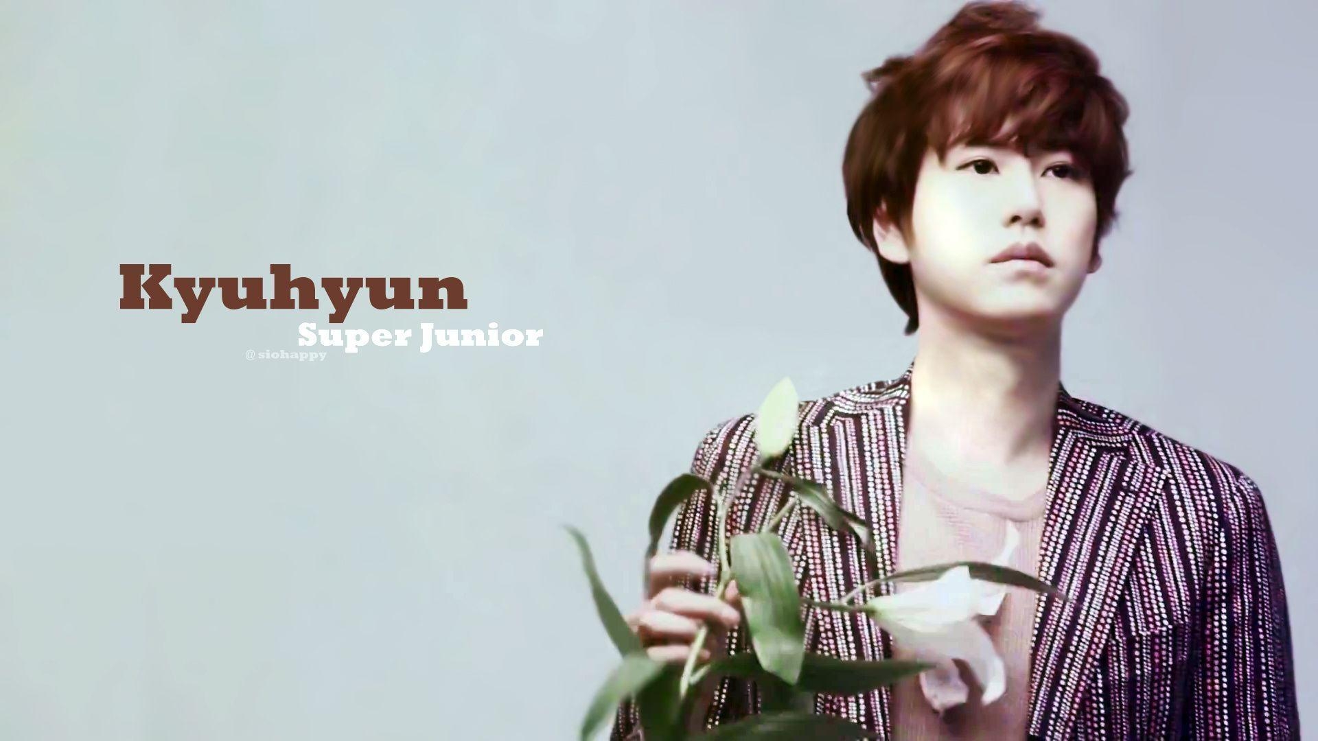 Kyuhyun, HD, Musik, Wallpaper, Sänger, 1920x1080 Full HD Desktop