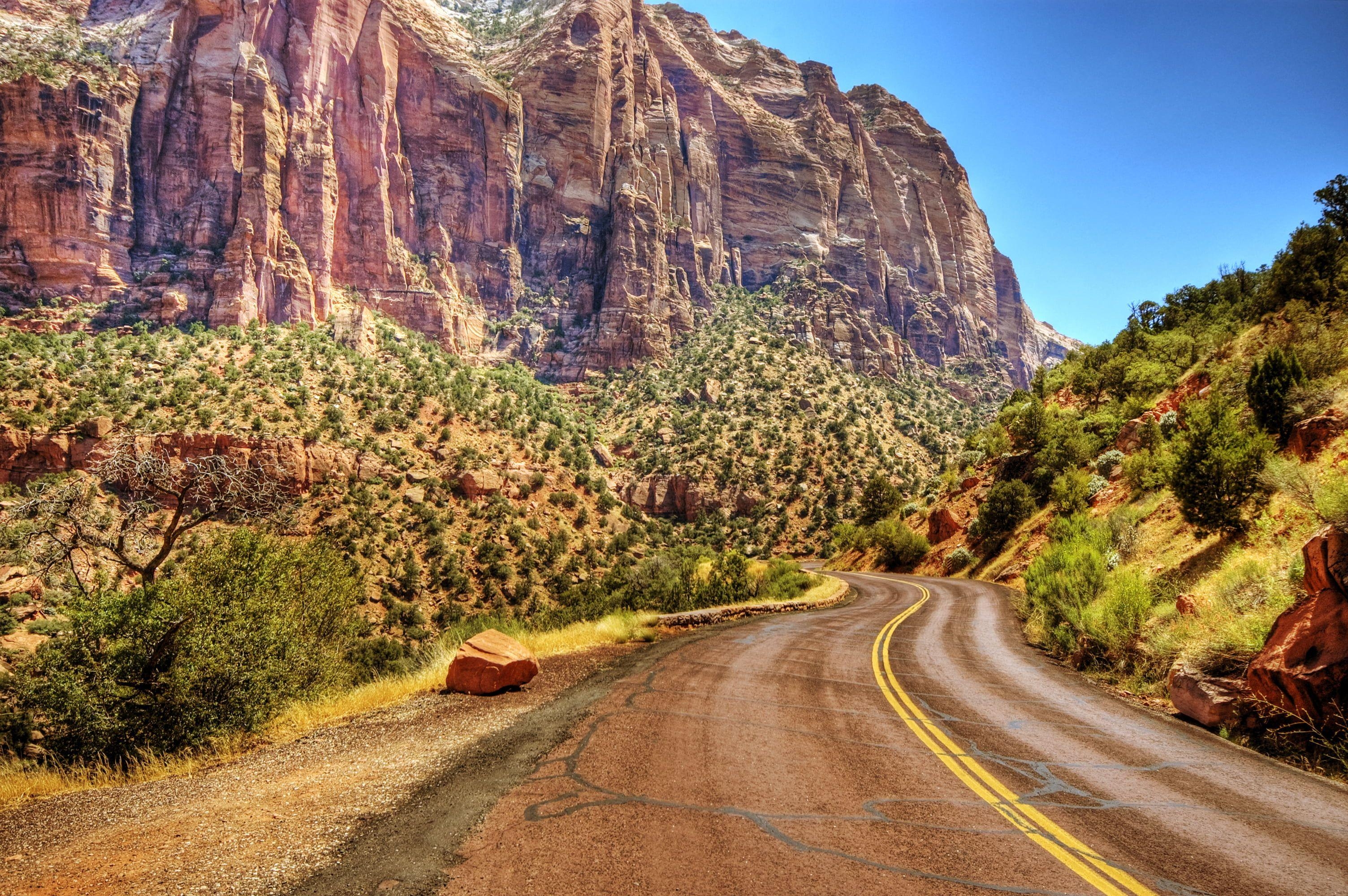 Kurvige Straße, Pflanzen, Canyon, Zion Nationalpark, HD, 3010x2000 HD Desktop