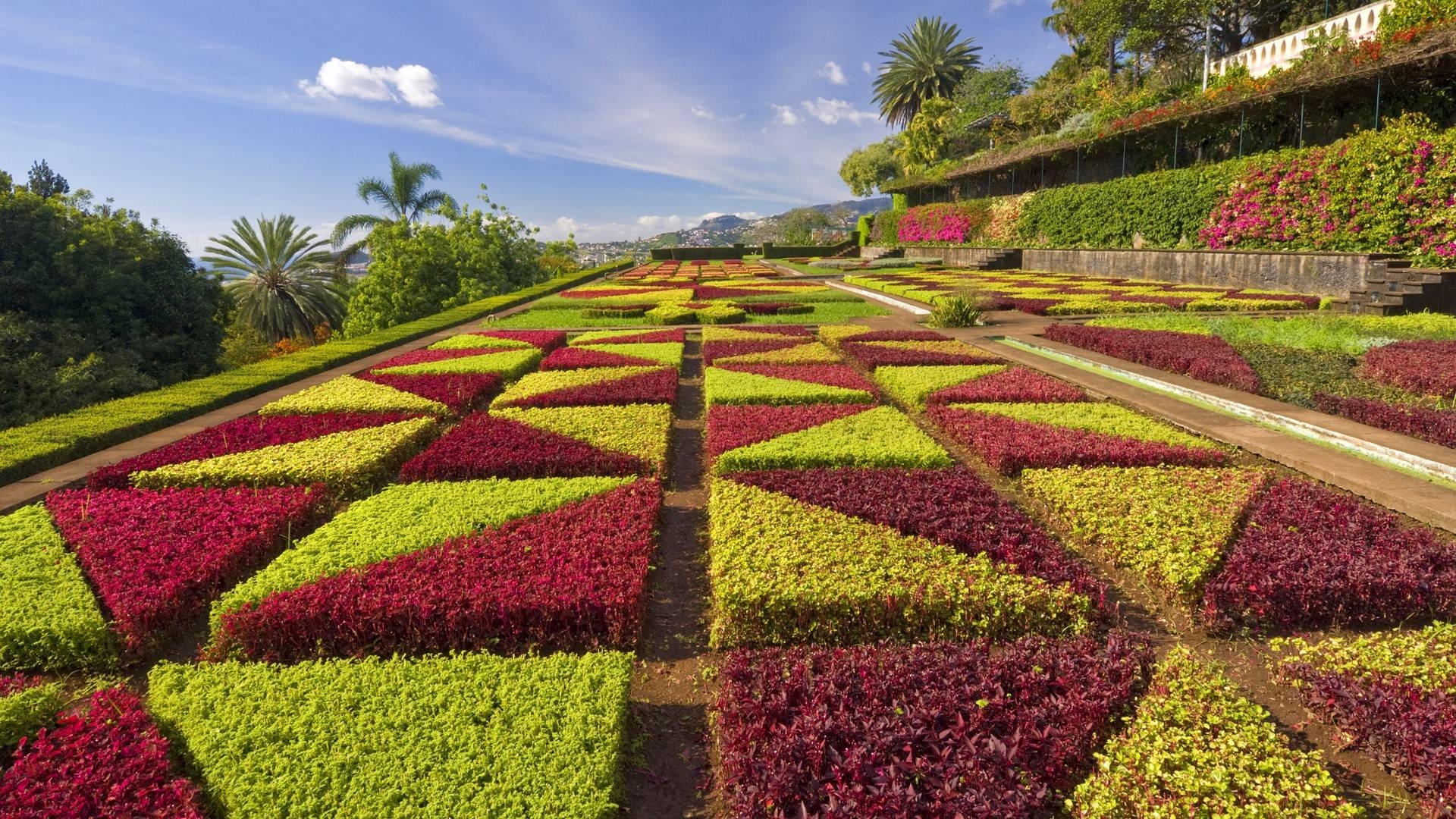 Blumengarten, Natur, Grün, Pflanzen, Blumenparadies, 1920x1080 Full HD Desktop