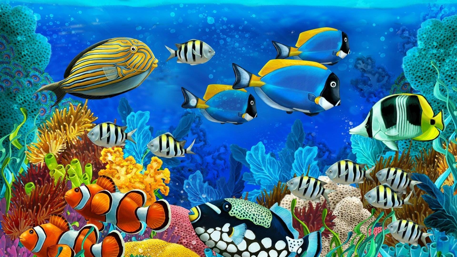 Tropische Fische, Android, Hintergrund, Exotisch, 1920x1080 Full HD Desktop