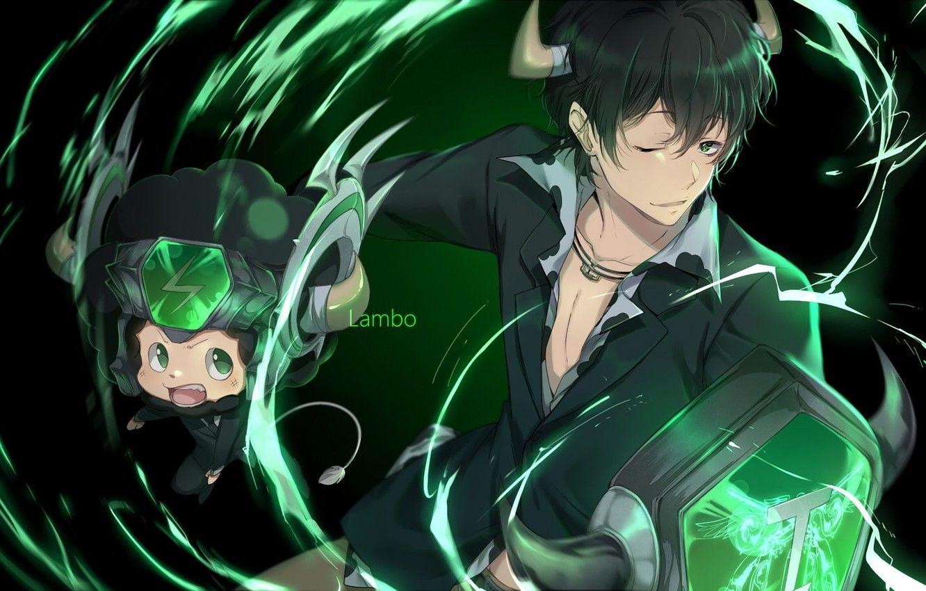 Katekyo Hitman Reborn, Waffe, Anime, Mafia, Manga, 1340x850 HD Desktop