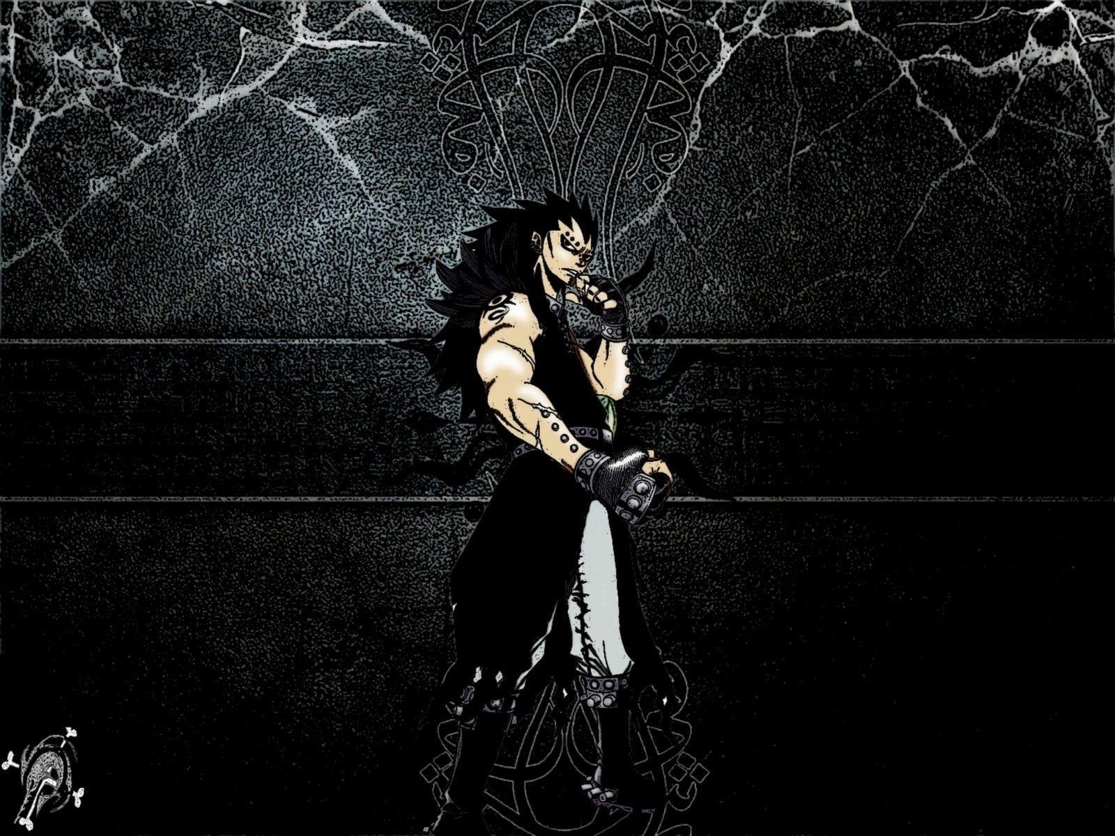 Long Haired Male Anime Character Illustration, Gajeel Redfox, Gajeel, Fairy Tail, Anime HD Wallpaper 1600x1200