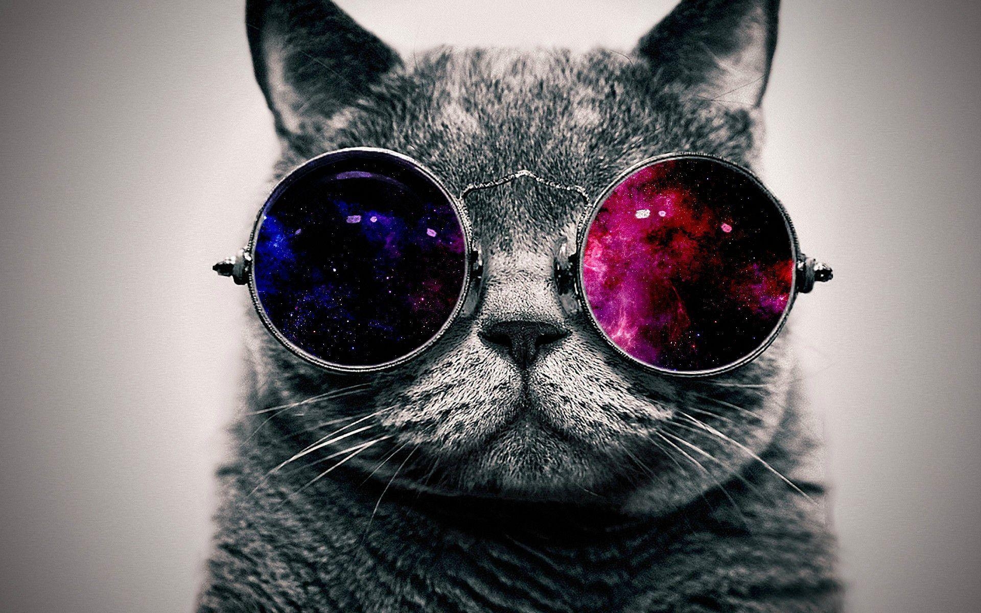 Galaxie, Katze, Brille, Hintergrund, Bild, 1920x1200 HD Desktop