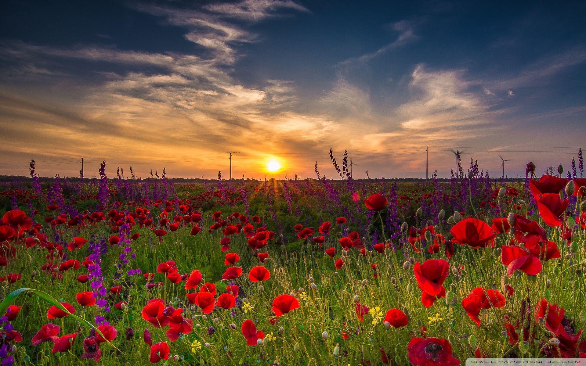 Bulgarien, Morgengrauen, 4K, Reise, Landschaft, 1920x1200 HD Desktop