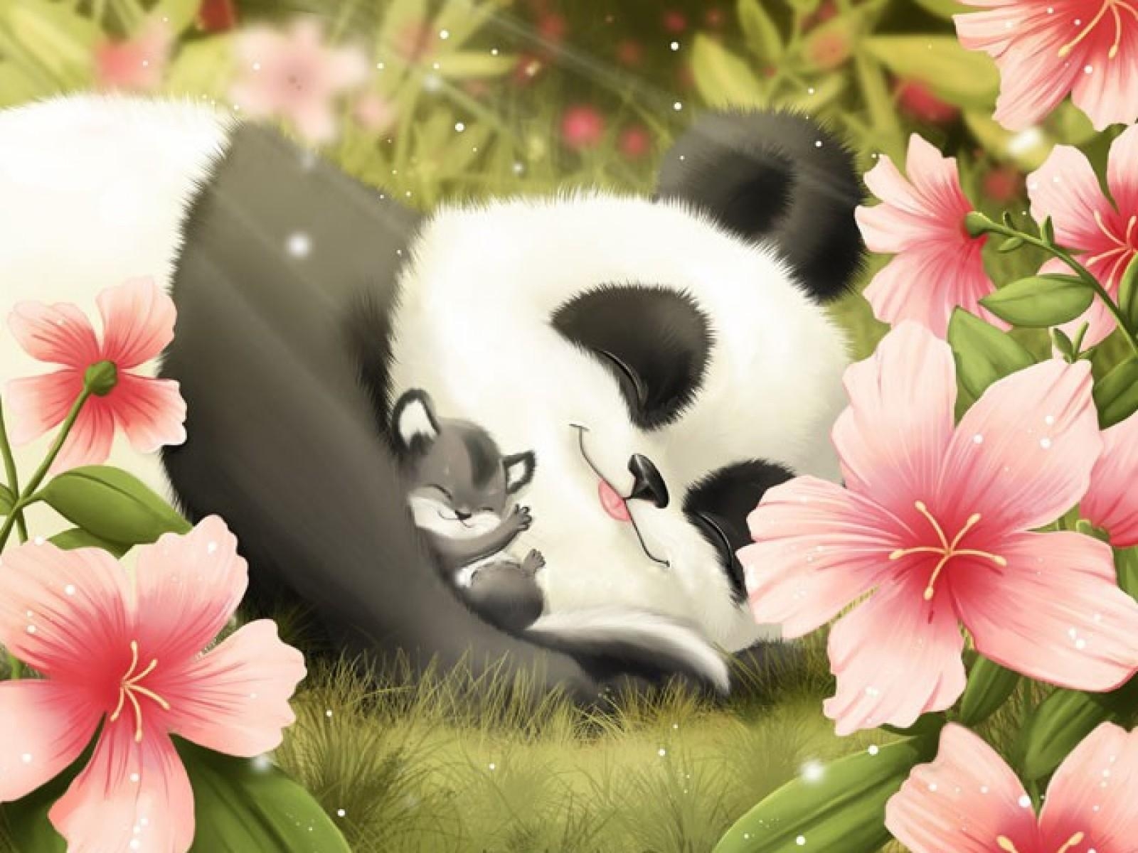 Kleiner Panda, Süß, HD, Tier, Hintergrund, 1600x1200 HD Desktop