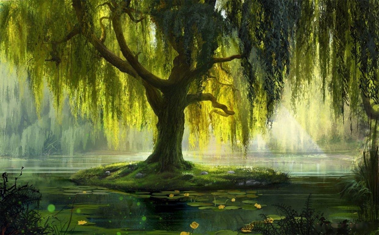 Teich, Wasserlilien, Malerei, Weide, Baum, 1250x770 HD Desktop