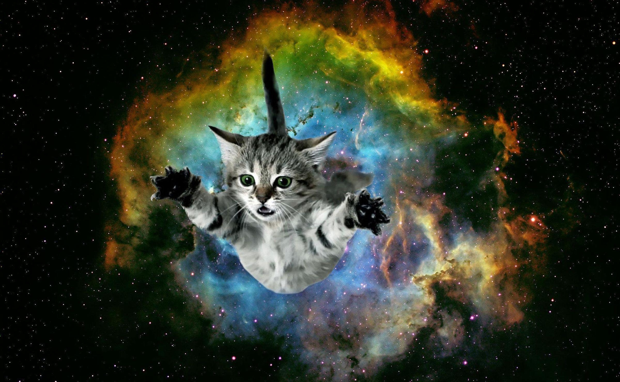 Galaxie Katze, iPhone Hintergrund, Bild, Universum, Feliden, 2400x1480 HD Desktop