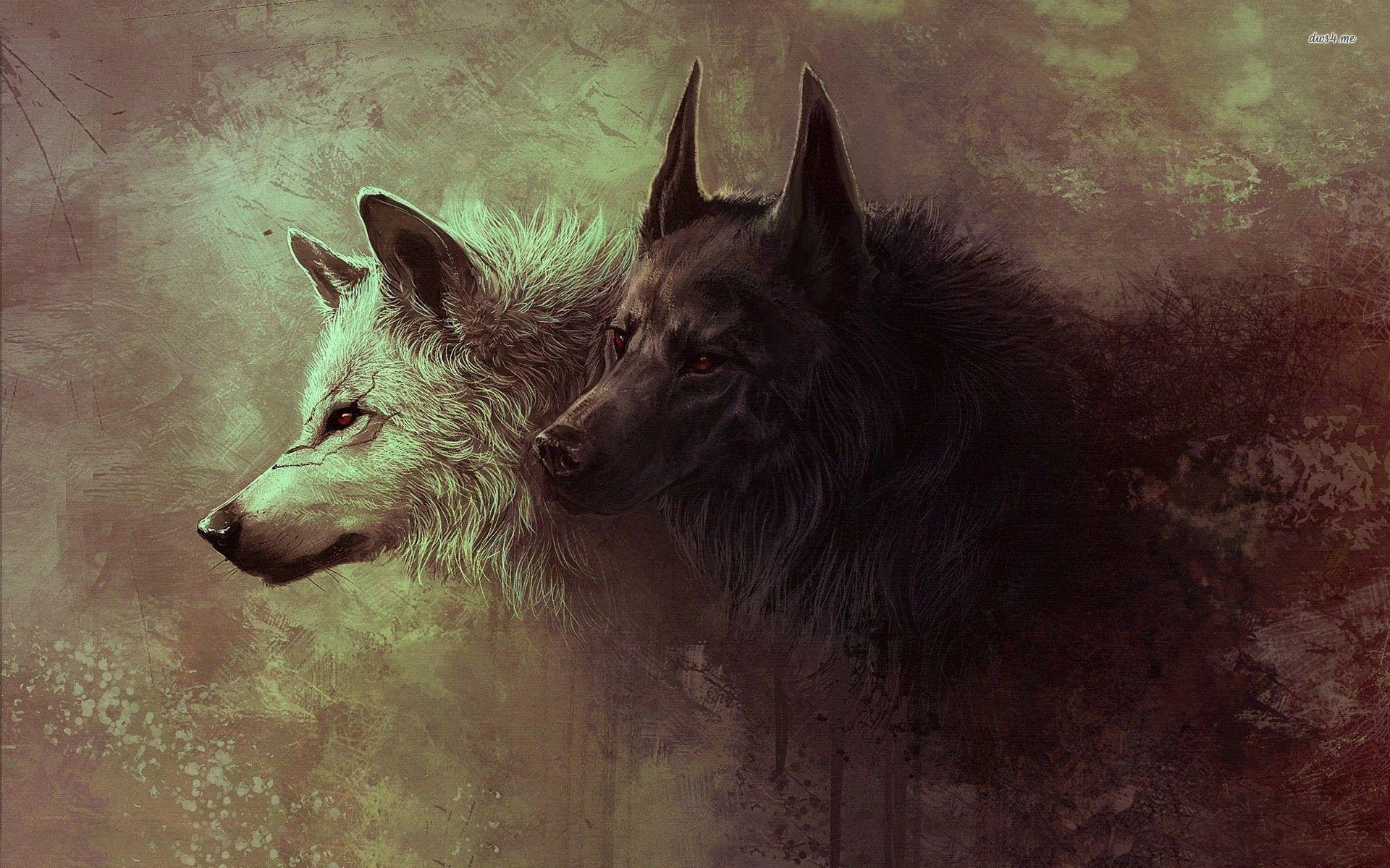 Wolf, HD 24, Bild, Hintergrund, Tier, 1920x1200 HD Desktop