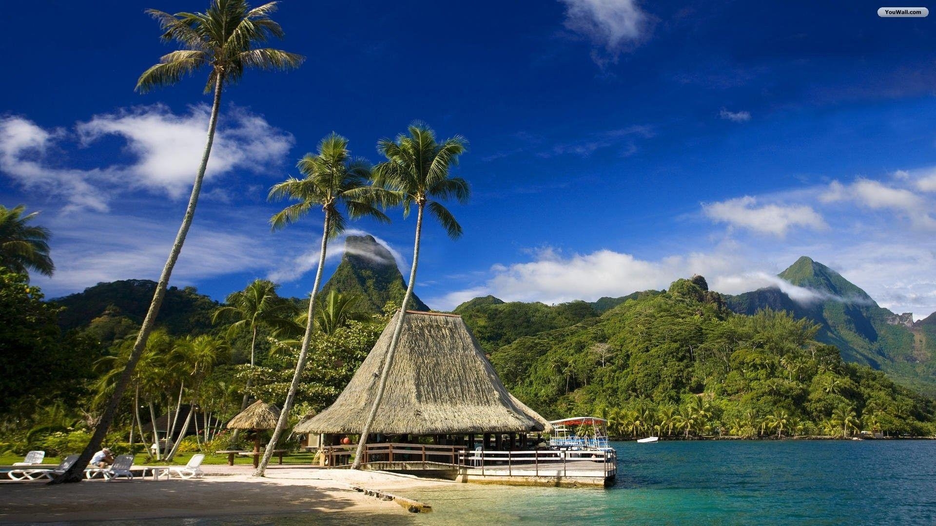 Natur Samoa, Reiche Fauna, Pflanzenvielfalt, Ökotourismus, Abenteuerreise, 1920x1080 Full HD Desktop