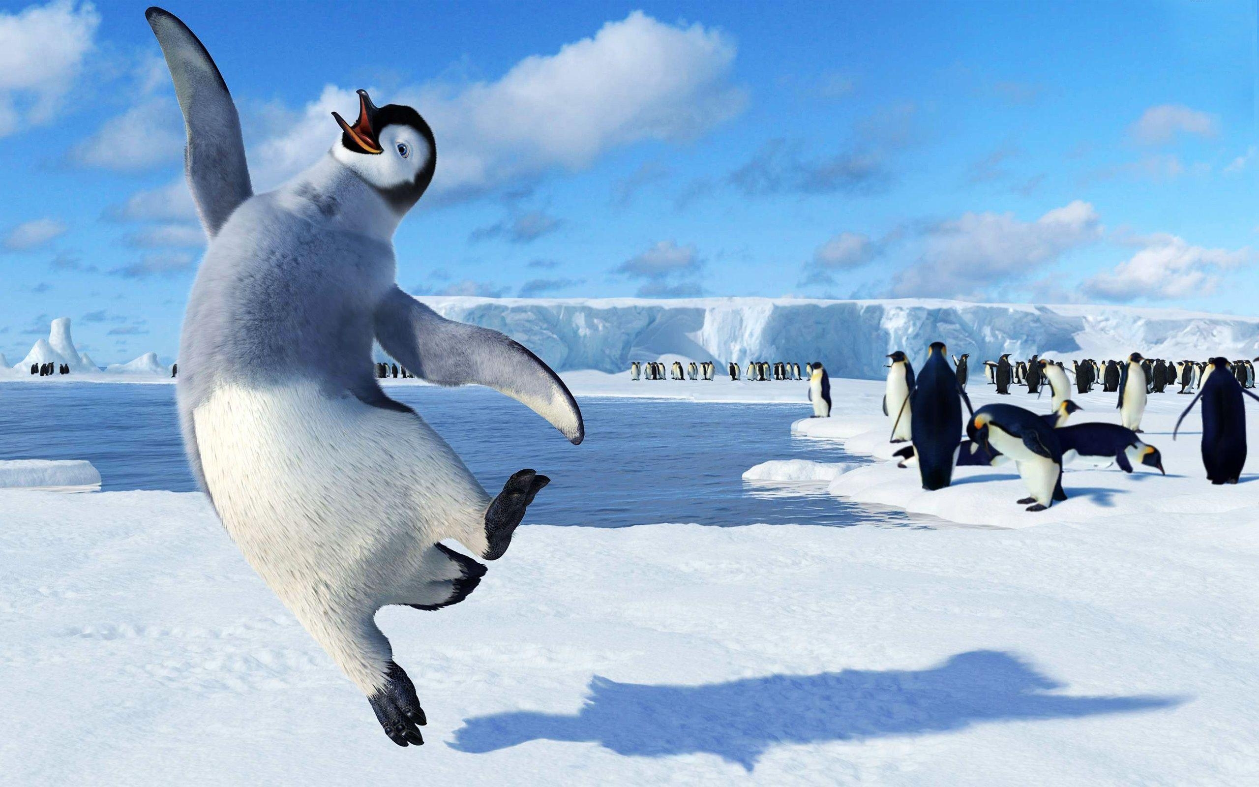 Happy Feet, Cartoon, Animation, Pinguine, Tanz, 2560x1600 HD Desktop