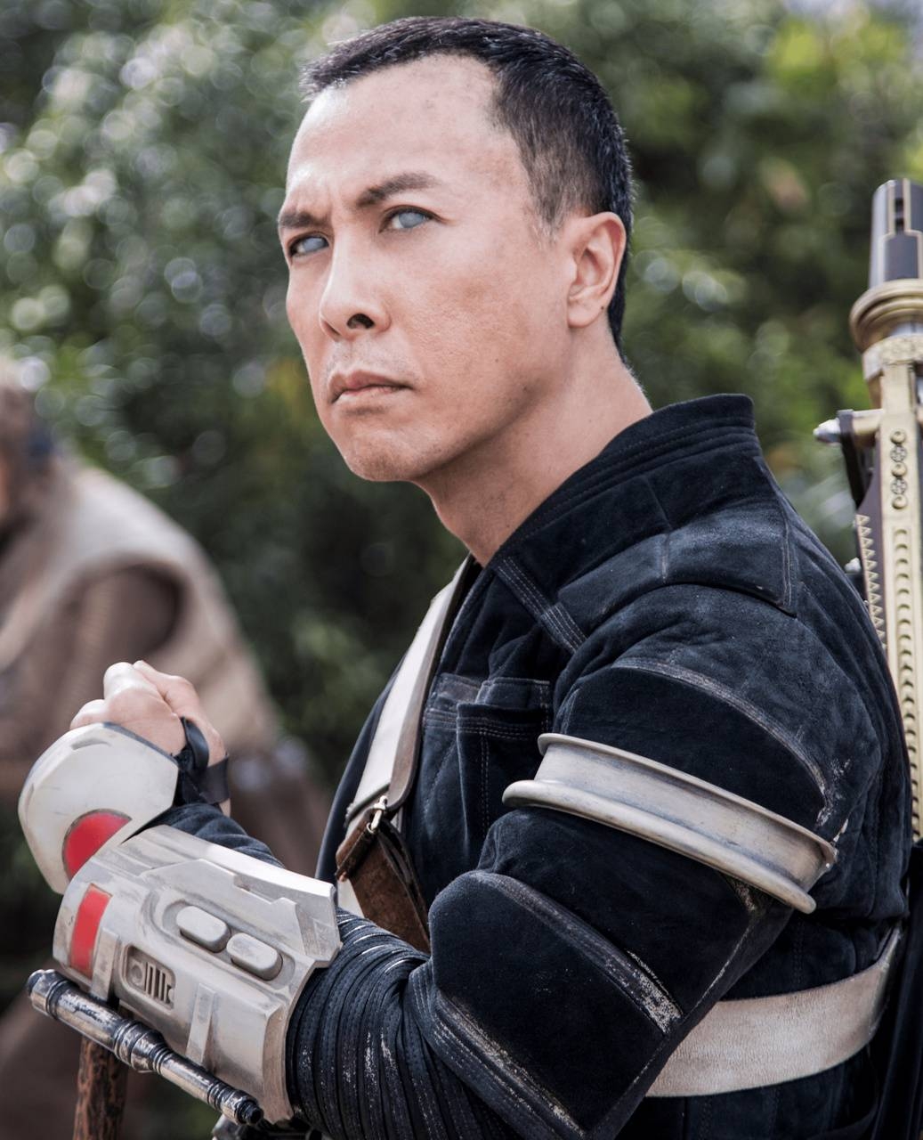 Donnie Yen, Filmstar, Actionheld, Martial Arts, Bild, 1040x1280 HD Handy