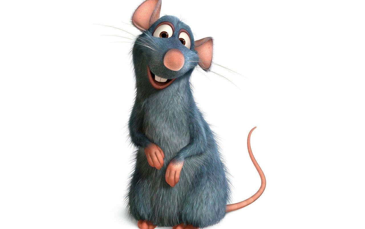 Ratatouille, Remy, Disney, Cartoon, Ratte, 1280x810 HD Desktop