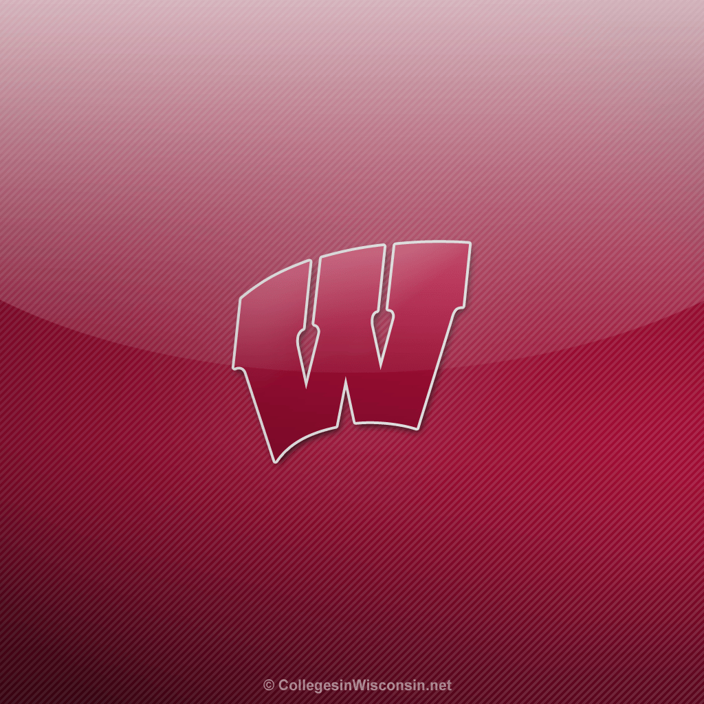 Wisconsin Badger, Hintergrund, Reisen, Sport, USA, 1030x1030 HD Handy