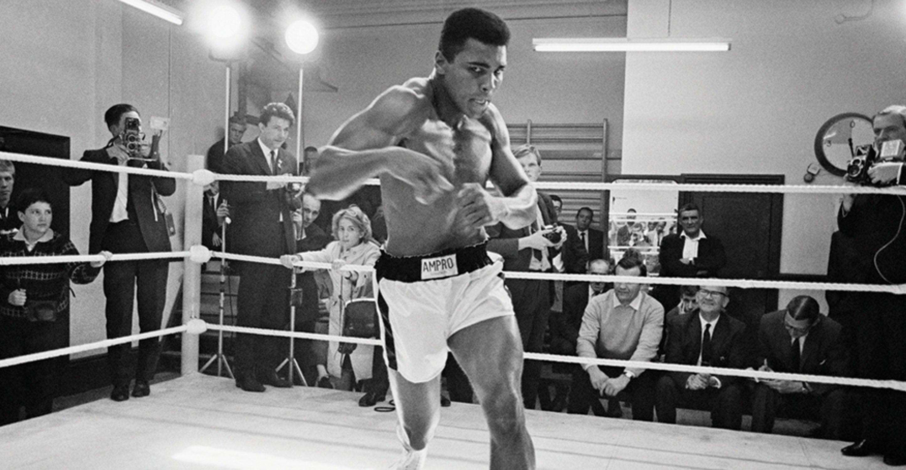 Muhammad Ali, Sportlegende, Boxen, Hintergrund, Bild, 2890x1500 HD Desktop