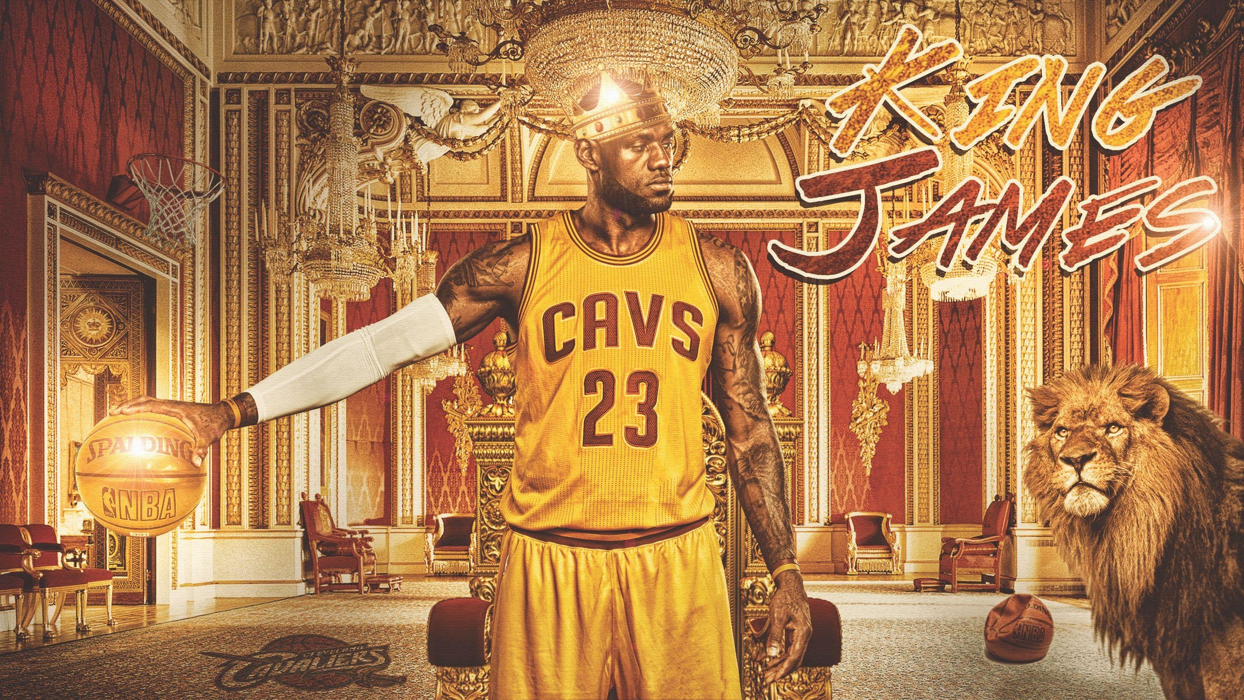 LeBron James, Fan, Basketball, Wallpaper, Hintergrund, 2560x1440 HD Desktop