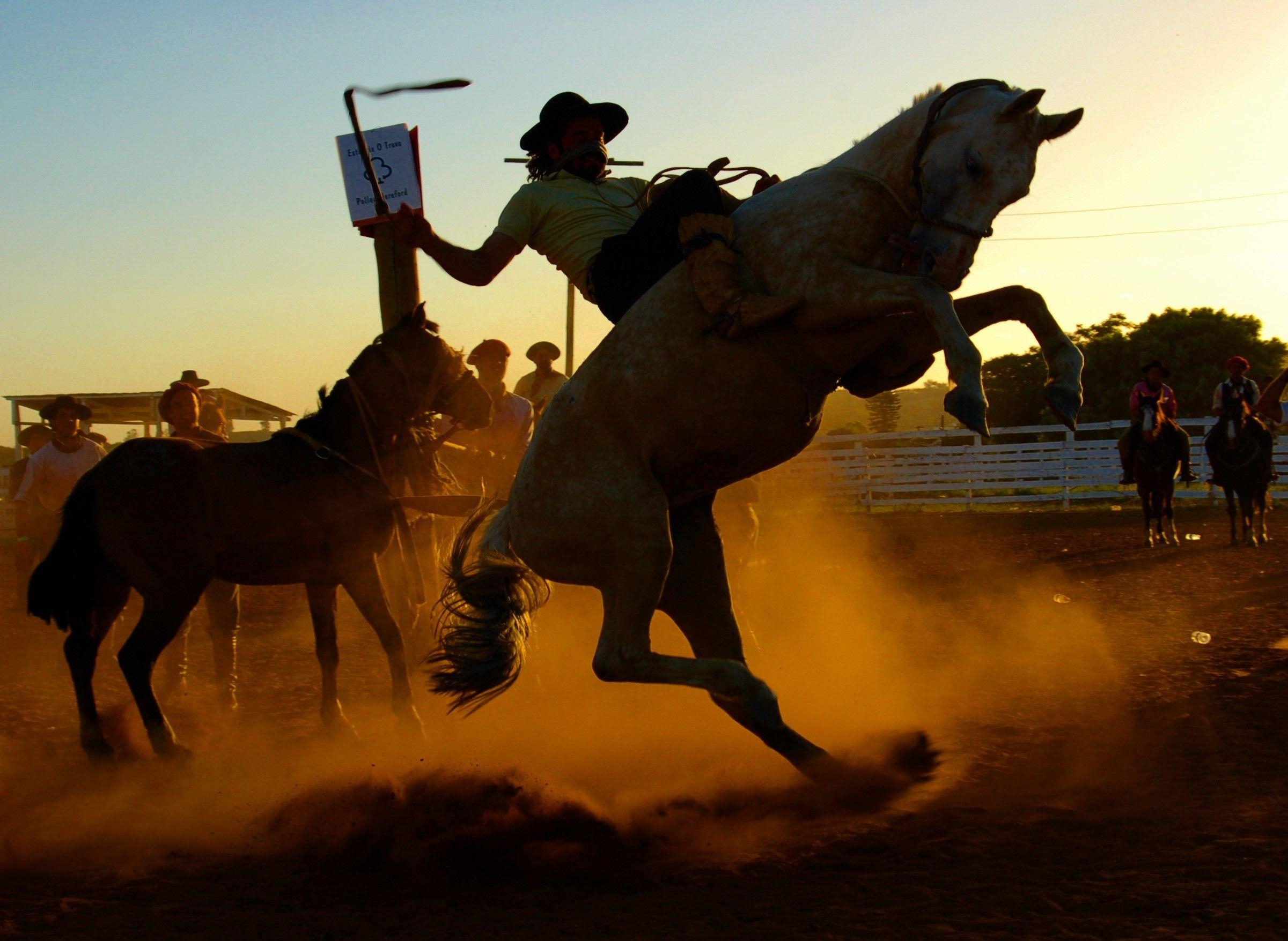 Rodeo, Desktop, Bild, Cowboy, Sport, 2410x1760 HD Desktop