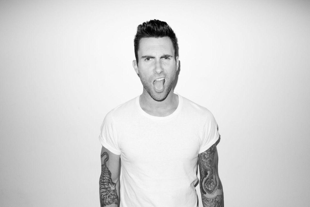 Adam Levine, Sänger, Popmusik, Maroon 5, Prominente, 1280x860 HD Desktop