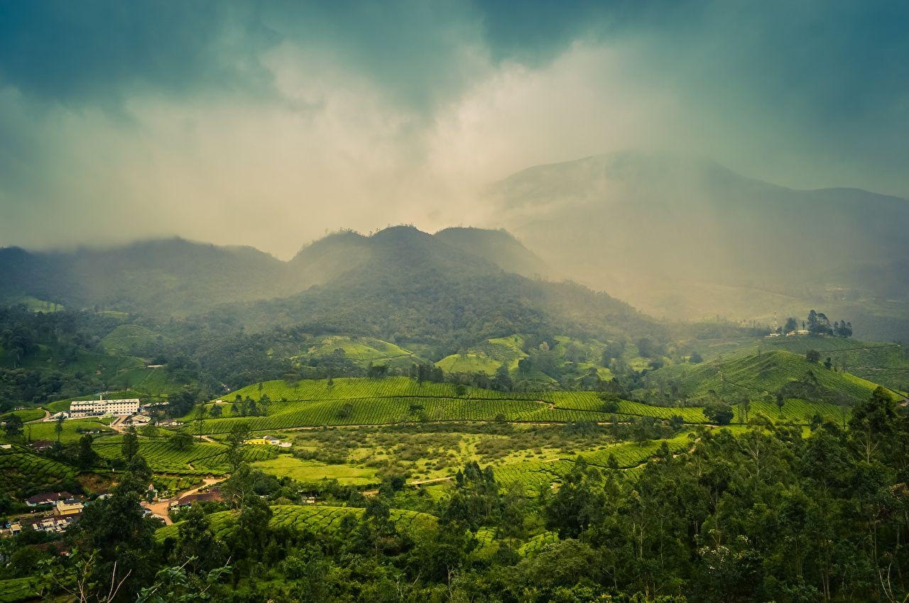 Kerala, Indien, Muthirapuzha, Natur, Hügel, 1280x850 HD Desktop