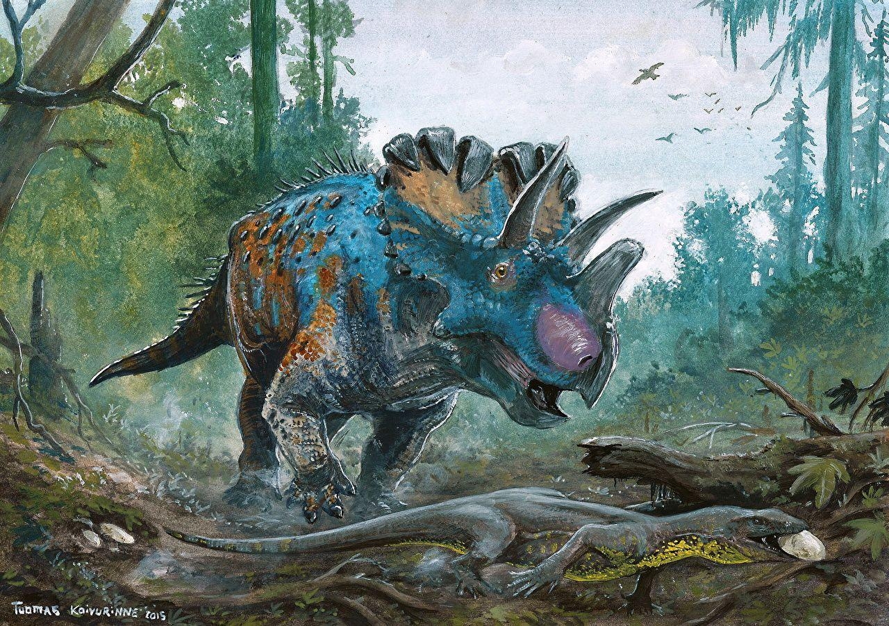 Tuomas Koivurinne, Dinosaurier, Wendiceratops, Triceratops, Bild, 1280x910 HD Desktop