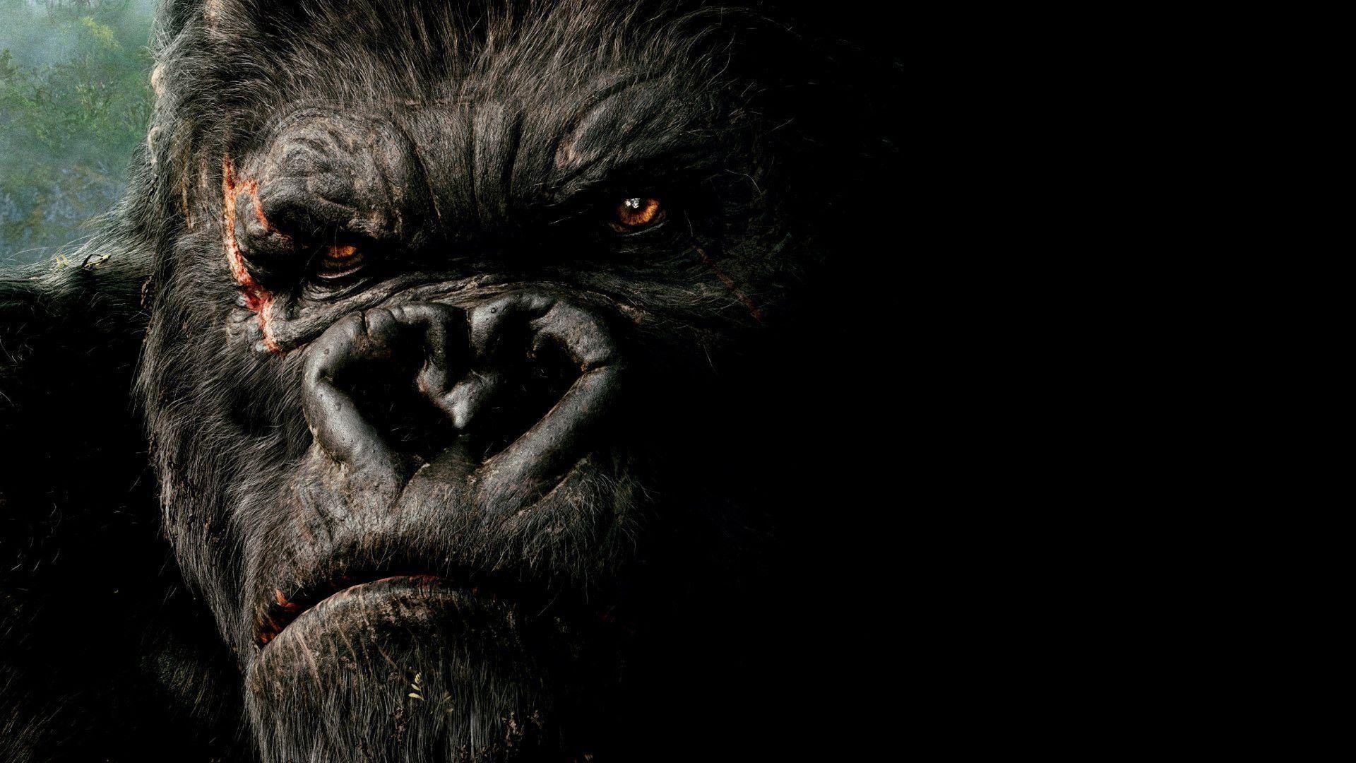 King Kong, UCPVU9, Abenteuer, Hintergrund, Film, 1920x1080 Full HD Desktop