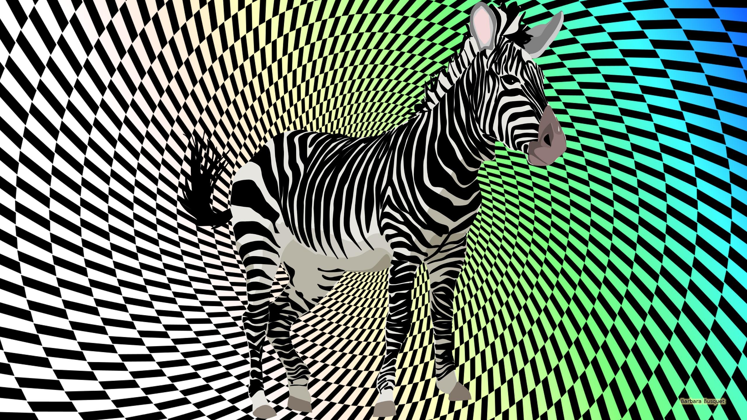 Zebra, Hintergrund, 1440p, Bild, Safari, 2560x1440 HD Desktop