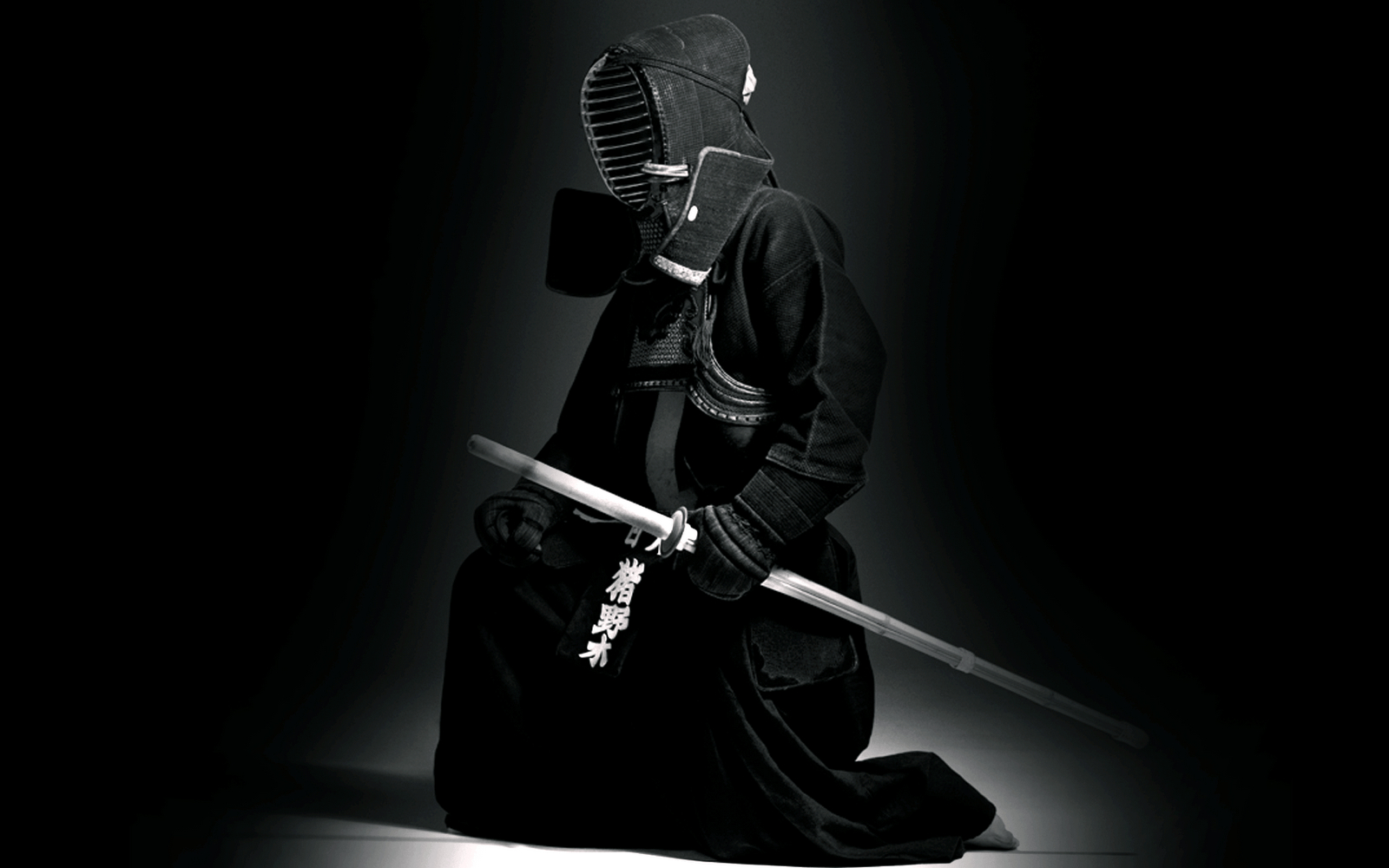 Kendo, Sport, Kampfkunst, Bild, 1600x1000 HD Desktop