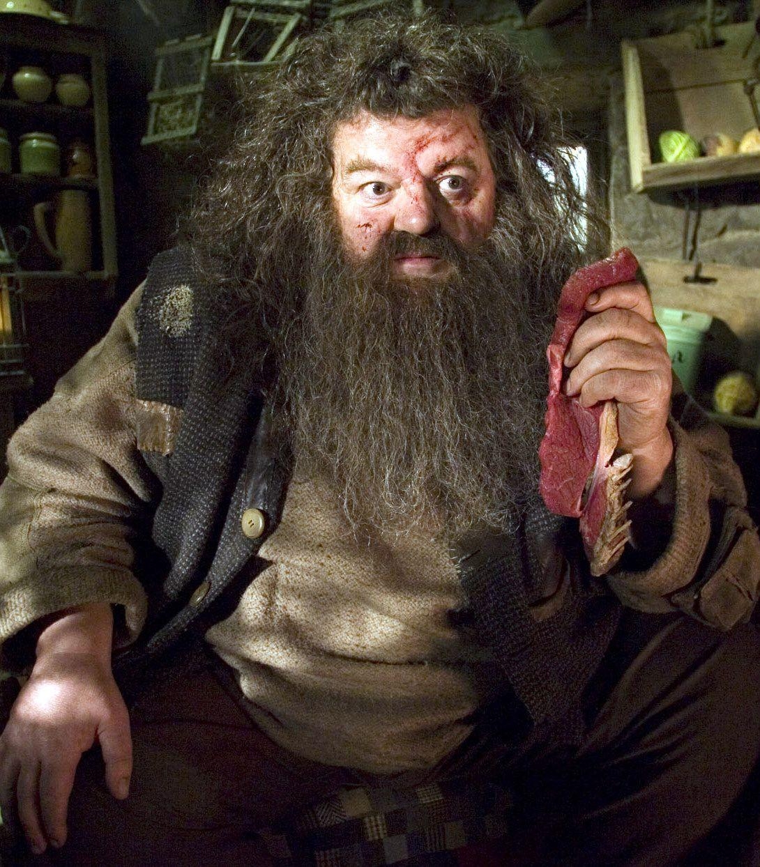 Rubeus Hagrid, Filme, Magie, Abenteuer, Charakter, 1090x1250 HD Handy