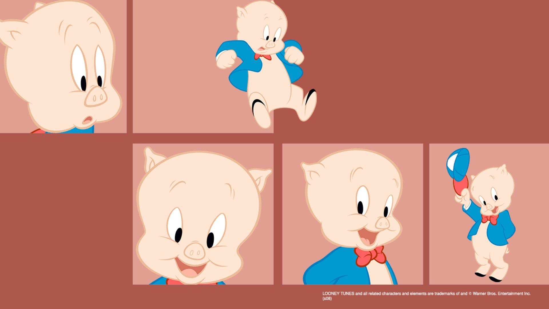 Porky Pig, Zeichentrick, Klassischer Charakter, Animierte Serie, 1920x1080 Full HD Desktop