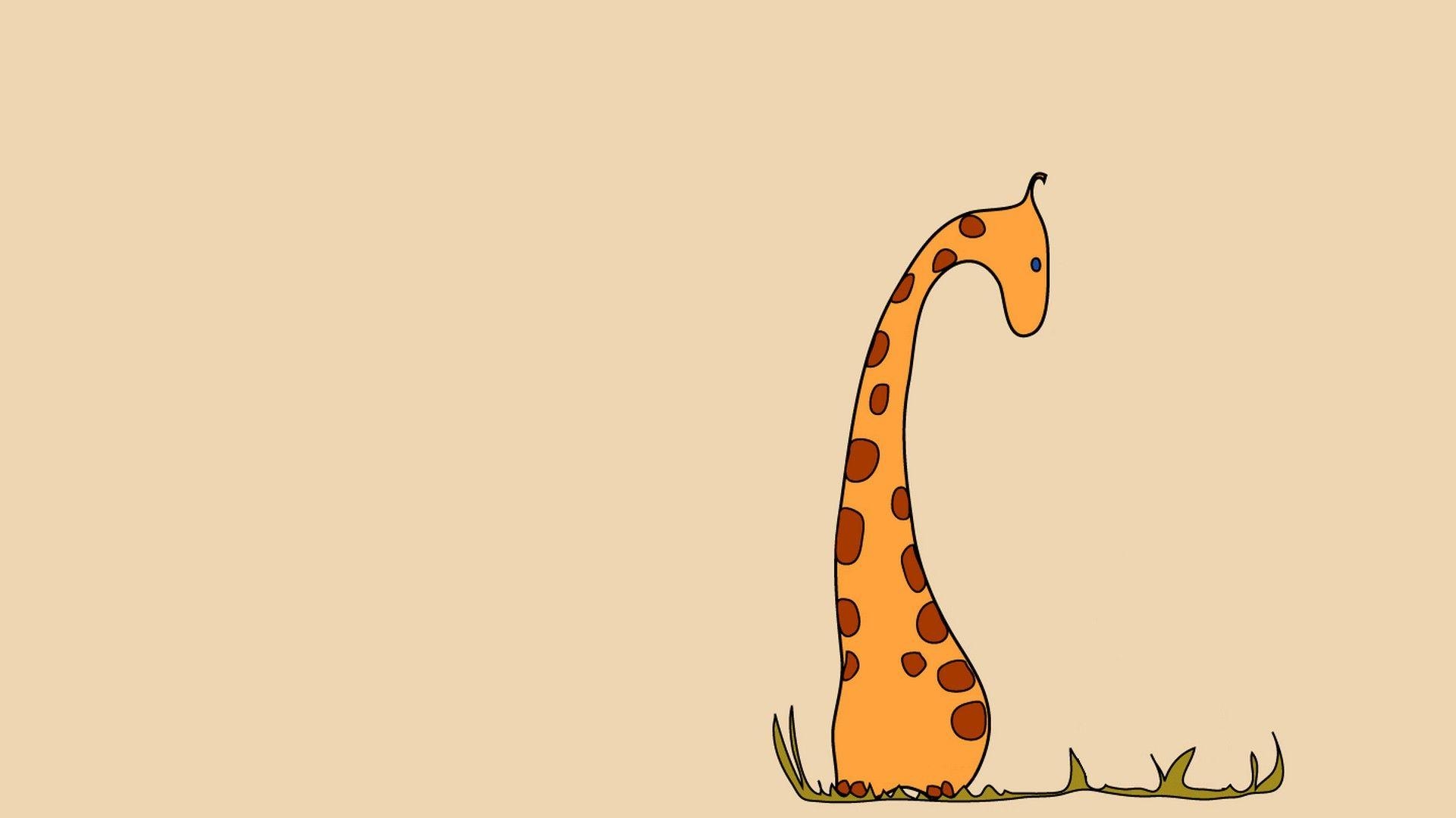 Niedliche Giraffe, HD, Beste, Hintergrund, Tier, 1920x1080 Full HD Desktop