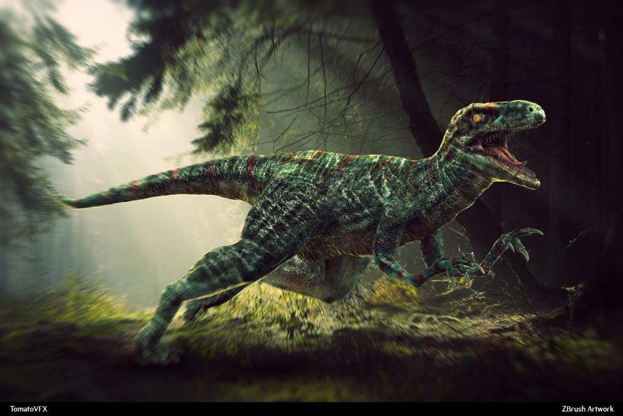 Velociraptor, HD Hintergrund, Desktop, Dinosaurier, 1280x860 HD Desktop