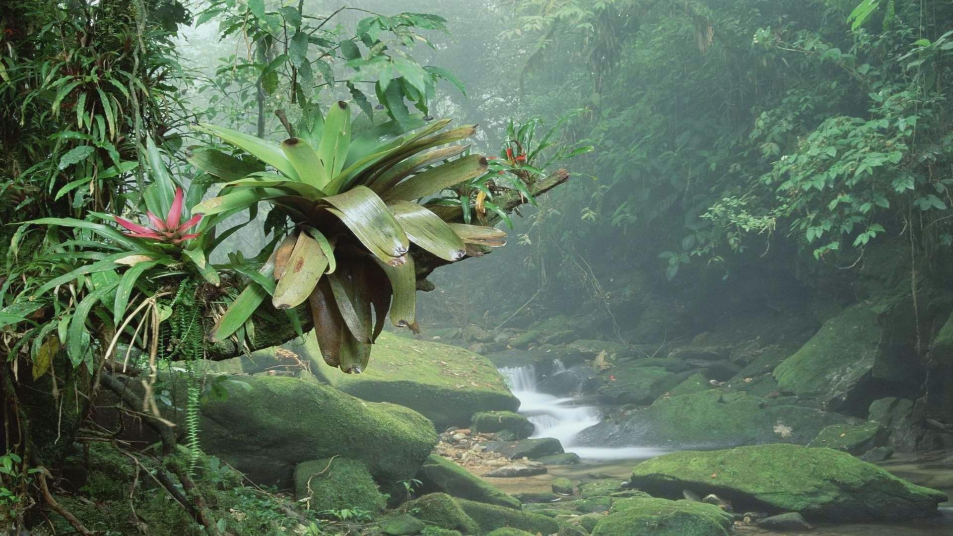 Brasilien, Desktop, HD, Landschaftsansicht, 1920x1080 Full HD Desktop