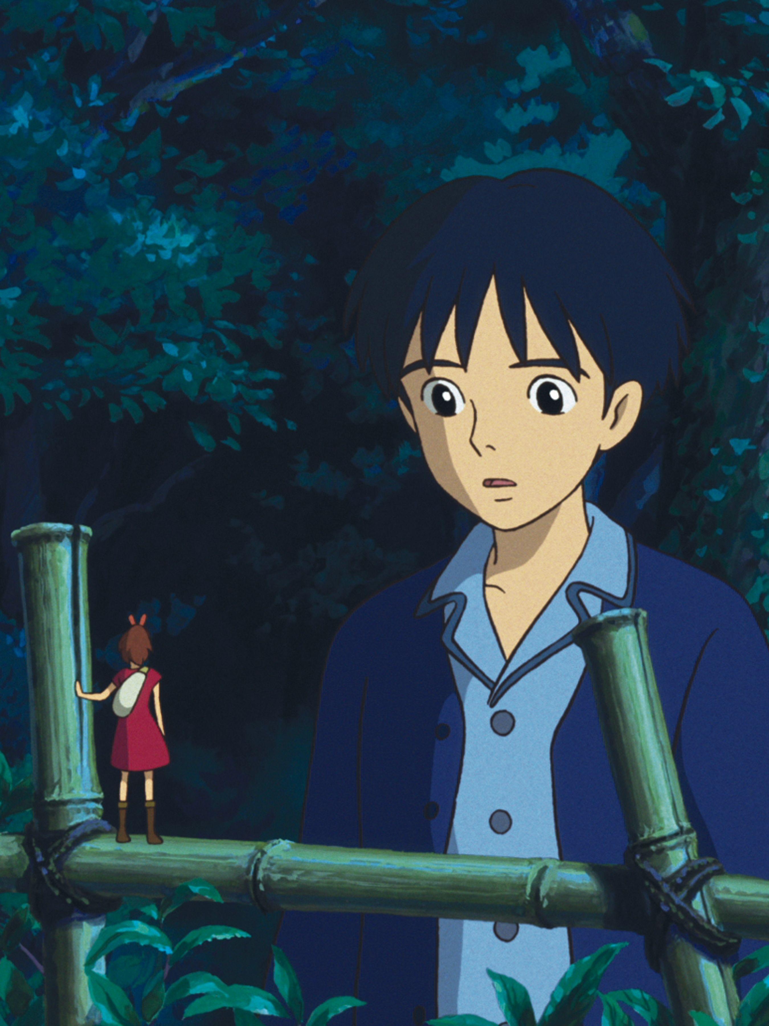 Geheime Welt Arrietty, Anime, Hintergrund, beliebt, Ghibli, 2700x3600 4K Handy