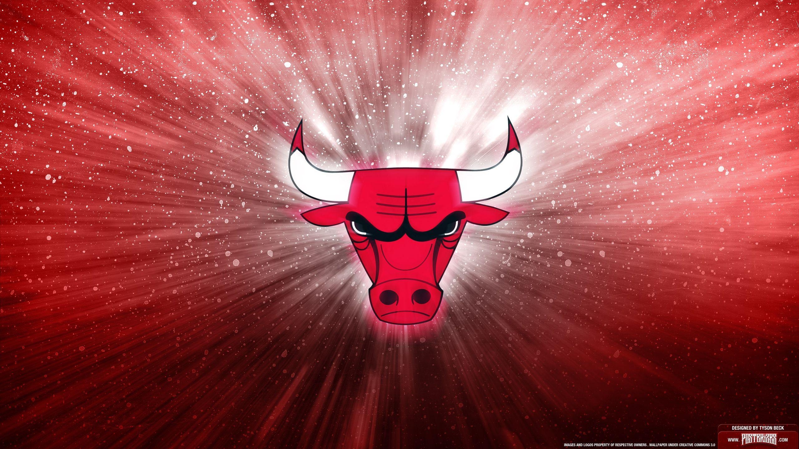 Chicago Bulls, Breitbild, Basketball, Sport, Team, 2560x1440 HD Desktop