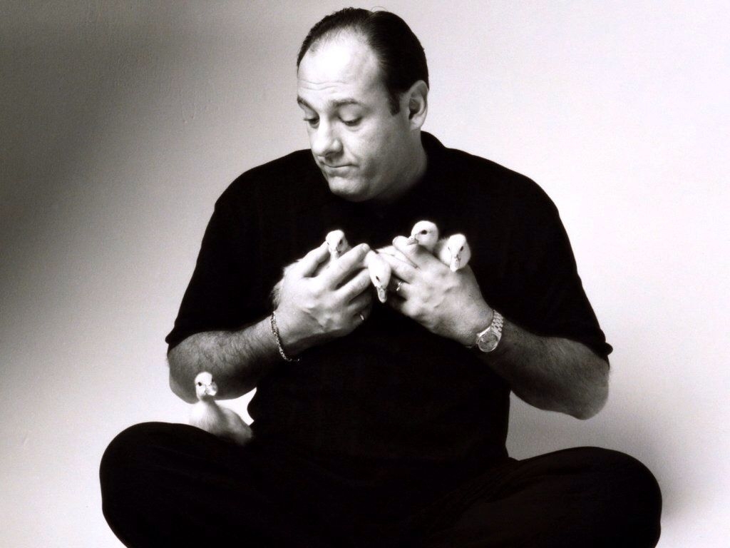 James Gandolfini, Baby Ducks, Film, TV-Serie, Sopranos, 1030x770 HD Desktop