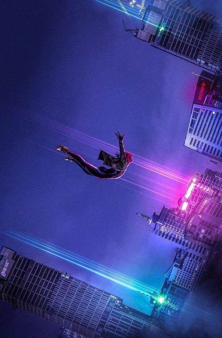 Spider-Man, Spider-Verse, schön, Cartoons, Superheld, 720x1100 HD Handy